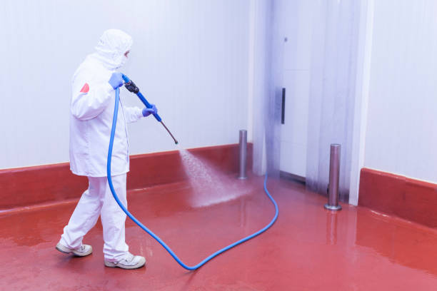 Best Sidewalk and Walkway Cleaning  in Clearwater, FL