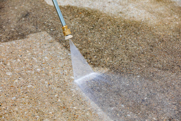 Best Roof Washing  in Clearwater, FL